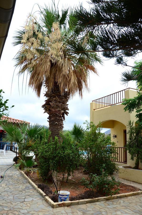 Alex Home Apartments Hersonissos  Exterior foto